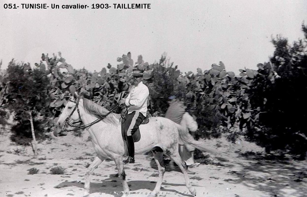 051- Tunisie- Un cavalier- 1903- Taillemitte.JPG